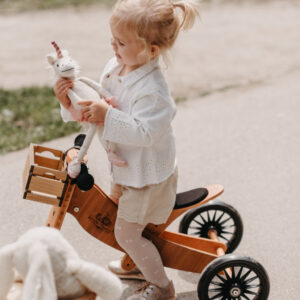 3600_-_2-in-1_Tiny_Tot+_Tricycle_&_Balance_Bike_-_Bamboo_(3)