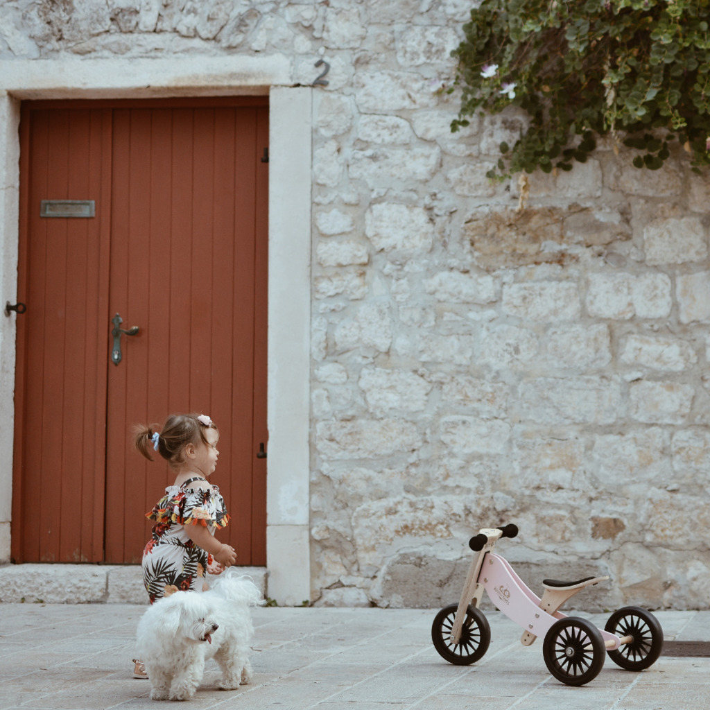 3603_-_2-in-1_Tiny_Tot+_Tricycle_&_Balance_Bike_-_Rose_(6)