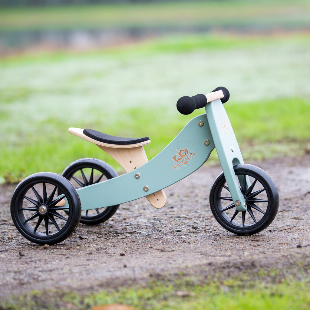 3622_-_2-in-1_Tiny_Tot_Tricycle_&_Balance_Bike_-_Sage_(4)