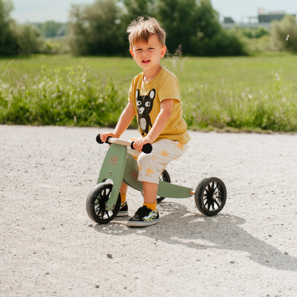 3622_-_2-in-1_Tiny_Tot_Tricycle_&_Balance_Bike_-_Sage_(7)