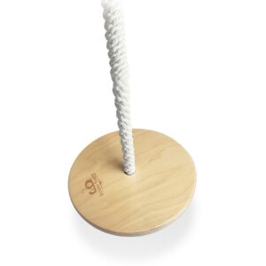 3655_-_Swing_Disc_(1)
