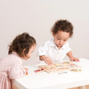 10432_-_Peg_Puzzle_-_Transport_-_8_pieces_(4)