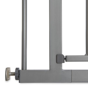 4007923597323.pt10.Stop-N-Safe-2-incl.-9cm-extension_Silver