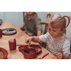 6203_-_tiny_BIO_Dinner_Gift_Set_-_Berry_(2)