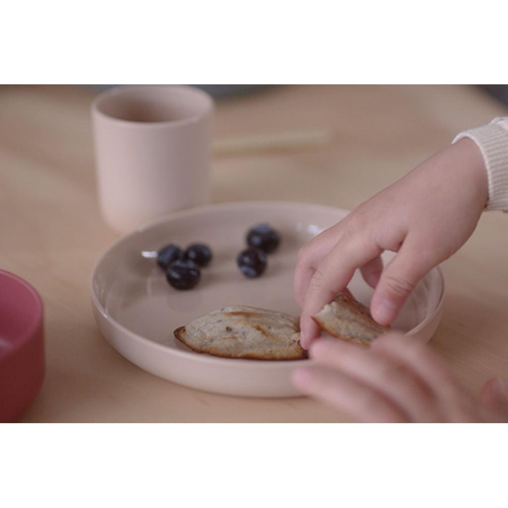 6240_-_tiny_BIO_Plate_Set_-_Cream_&_Berry_(6)