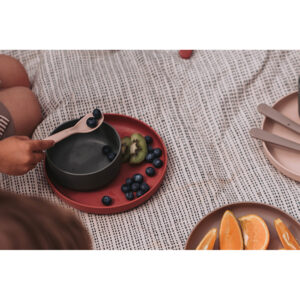 6240_-_tiny_BIO_Plate_Set_-_Cream_&_Berry_(7)