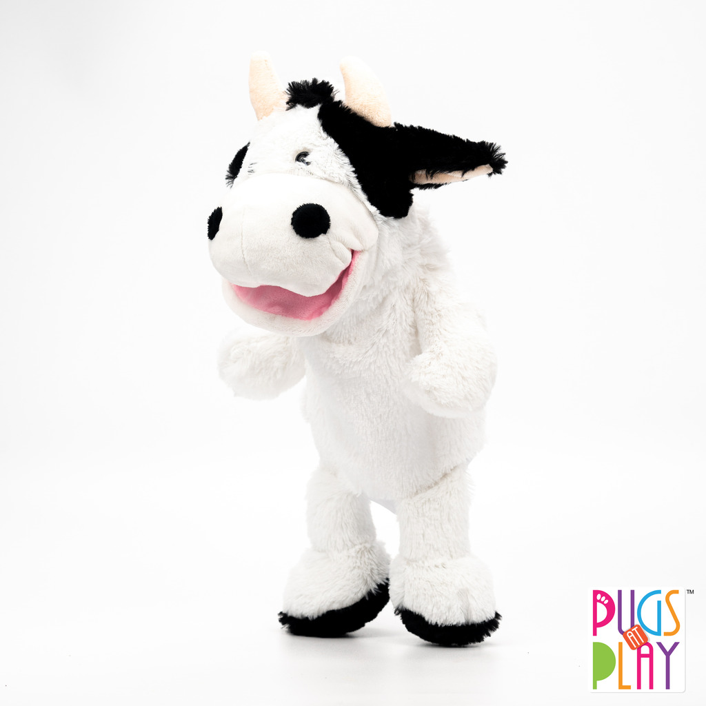 Cow r2-4