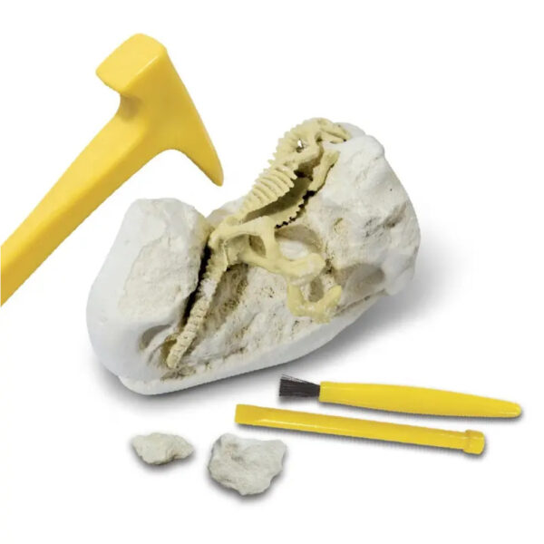 Kit Dig Diving Instruments Dinosaur Dig Kits Dig & discover, Learn & Explore - Toy Dubai (Toys ...