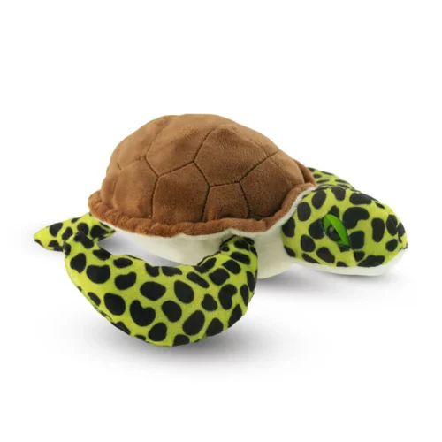 427022-Sea-Turtle-04