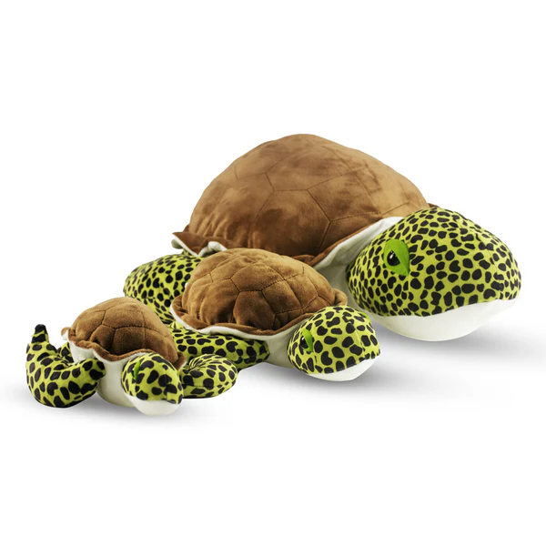 427022-Sea-Turtle-05