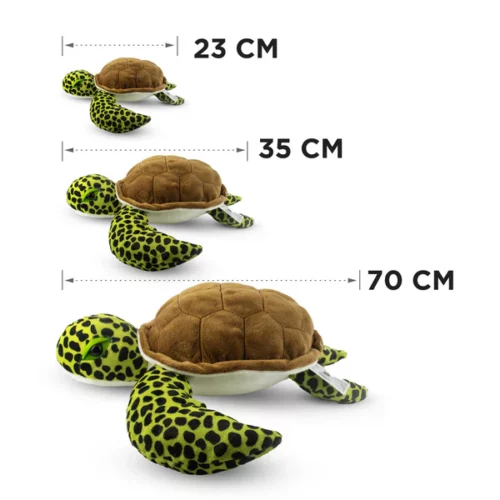 427022-Sea-Turtle-06