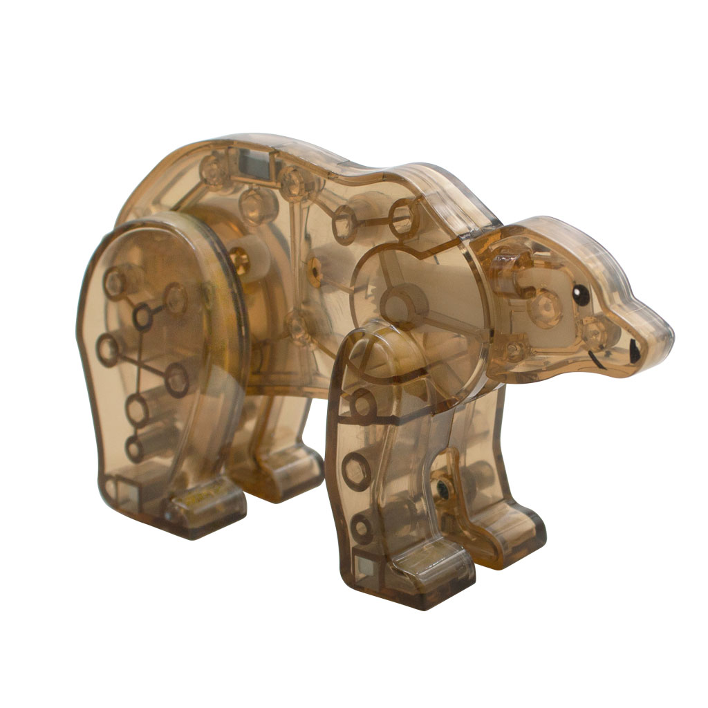 22225_MT-Forest-Bear-f
