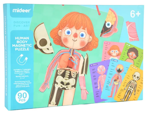 Body Magnetic Puzzle – 90pcs