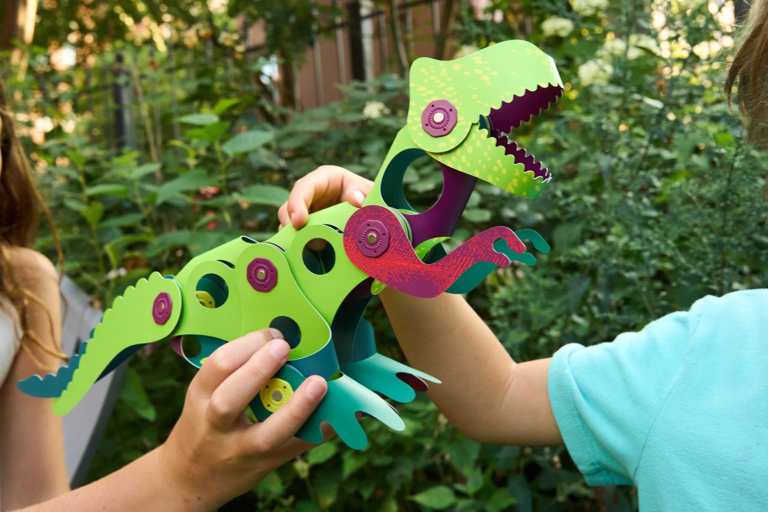 CL-DINO-AD-1_8