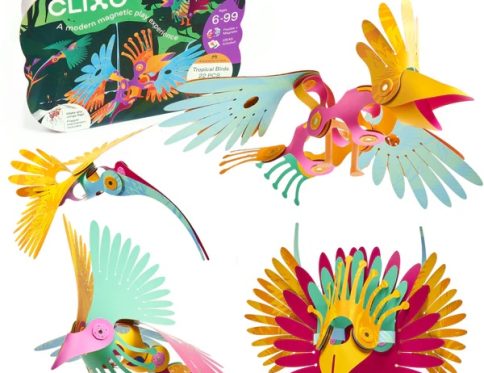 Clixo Tropical Birds Pack 30 piece magnetic building set UAE